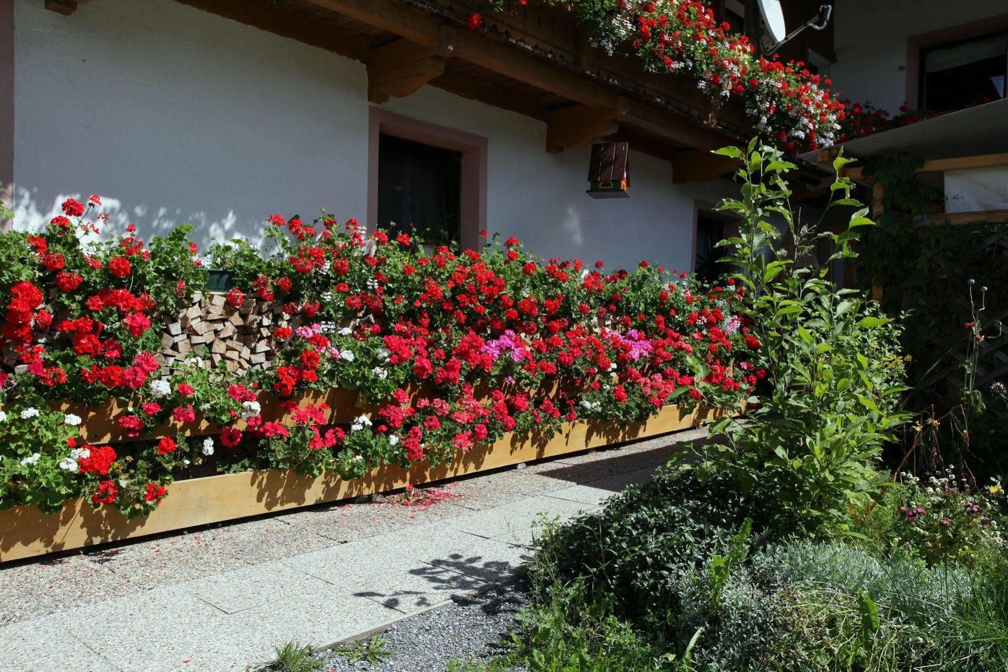 Migglwieshof Kelchsau Exterior foto